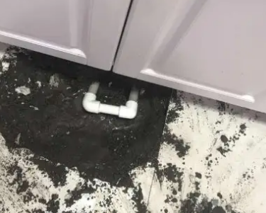 华宁查漏水哪家好